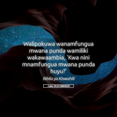 Picture 05 - Luka 19:33 SWHULB - Walipokuwa wanamfungua mwana punda wamiliki - Bible Verse Picture