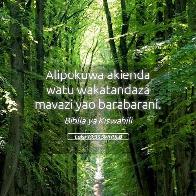 Picture 05 - Luka 19:36 SWHULB - Alipokuwa akienda watu wakatandaza mavazi yao - Bible Verse Picture