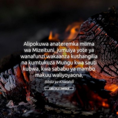 Picture 05 - Luka 19:37 SWHULB - Alipokuwa anateremka mlima wa Mizeituni, jumuiya - Bible Verse Picture