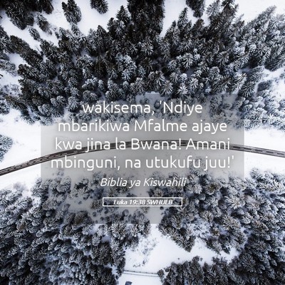 Picture 05 - Luka 19:38 SWHULB - wakisema, 'Ndiye mbarikiwa Mfalme ajaye kwa jina - Bible Verse Picture