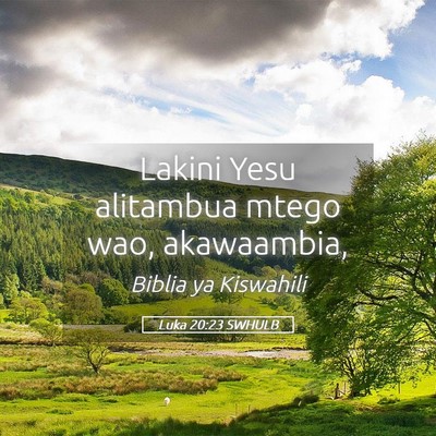 Picture 05 - Luka 20:23 SWHULB - Lakini Yesu alitambua mtego wao, - Bible Verse Picture
