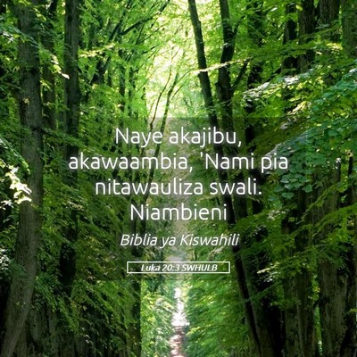 Picture 05 - Luka 20:3 SWHULB - Naye akajibu, akawaambia, 'Nami pia nitawauliza - Bible Verse Picture