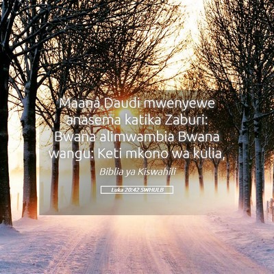 Picture 05 - Luka 20:42 SWHULB - Maana Daudi mwenyewe anasema katika Zaburi: Bwana - Bible Verse Picture