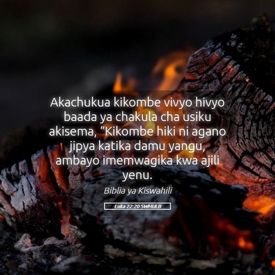 Picture 05 - Luka 22:20 SWHULB - Akachukua kikombe vivyo hivyo baada ya chakula - Bible Verse Picture