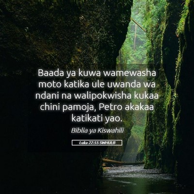 Picture 05 - Luka 22:55 SWHULB - Baada ya kuwa wamewasha moto katika ule uwanda wa - Bible Verse Picture