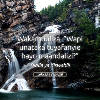 Picture 05 - Luka 22:9 SWHULB - Wakamuuliza, “Wapi unataka tuyafanyie hayo - Bible Verse Picture