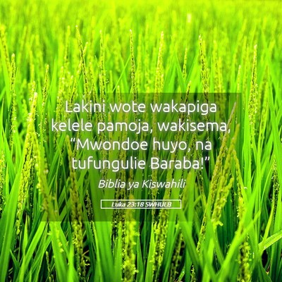Picture 05 - Luka 23:18 SWHULB - Lakini wote wakapiga kelele pamoja, wakisema, - Bible Verse Picture