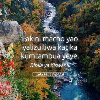 Picture 05 - Luka 24:16 SWHULB - Lakini macho yao yalizuiliwa katika kumtambua - Bible Verse Picture