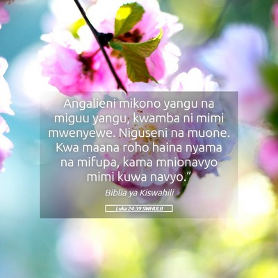 Picture 05 - Luka 24:39 SWHULB - Angalieni mikono yangu na miguu yangu, kwamba ni - Bible Verse Picture