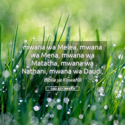 Picture 05 - Luka 3:31 SWHULB - mwana wa Melea, mwana wa Mena, mwana wa Matatha, - Bible Verse Picture