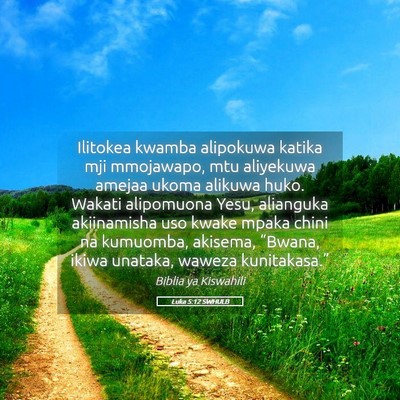 Picture 05 - Luka 5:12 SWHULB - Ilitokea kwamba alipokuwa katika mji mmojawapo, - Bible Verse Picture