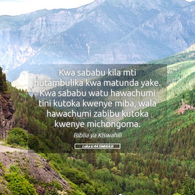 Picture 05 - Luka 6:44 SWHULB - Kwa sababu kila mti hutambulika kwa matunda yake. - Bible Verse Picture