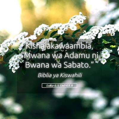 Picture 05 - Luka 6:5 SWHULB - Kisha akawaambia, “Mwana wa Adamu ni Bwana wa - Bible Verse Picture