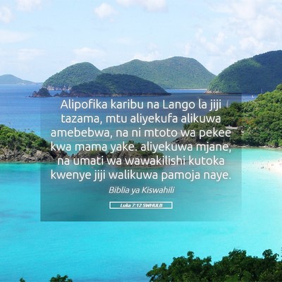 Picture 05 - Luka 7:12 SWHULB - Alipofika karibu na Lango la jiji tazama, mtu - Bible Verse Picture
