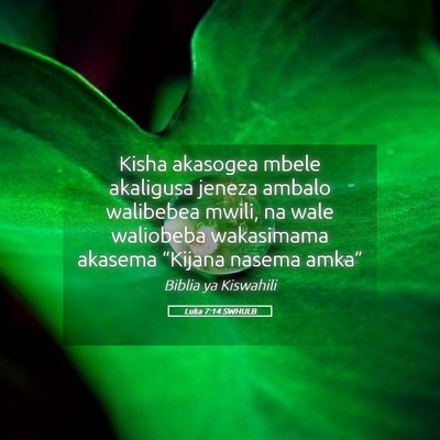Picture 05 - Luka 7:14 SWHULB - Kisha akasogea mbele akaligusa jeneza ambalo - Bible Verse Picture