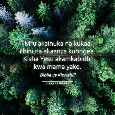 Picture 05 - Luka 7:15 SWHULB - Mfu akainuka na kukaa chini na akaanza kuongea. - Bible Verse Picture