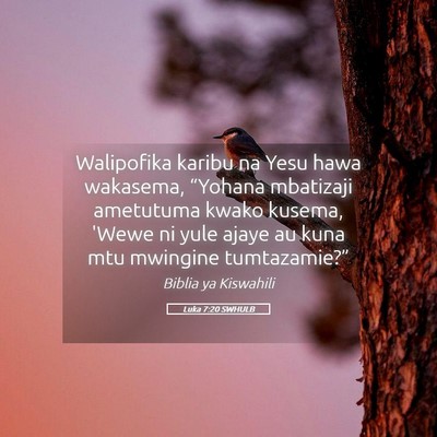 Picture 05 - Luka 7:20 SWHULB - Walipofika karibu na Yesu hawa wakasema, - Bible Verse Picture