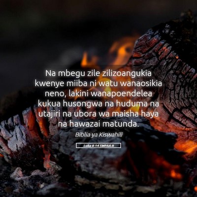 Picture 05 - Luka 8:14 SWHULB - Na mbegu zile zilizoangukia kwenye miiba ni watu - Bible Verse Picture