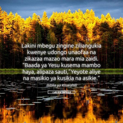Picture 05 - Luka 8:8 SWHULB - Lakini mbegu zingine ziliangukia kwenye udongo - Bible Verse Picture