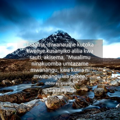 Picture 05 - Luka 9:38 SWHULB - Tazama, mwanaume kutoka kwenye kusanyiko alilia - Bible Verse Picture