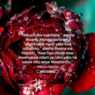 Picture 05 - Malaki 2:16 SWHULB - “Nakuchukia kuachana,” asema Bwana, Mungu wa - Bible Verse Picture