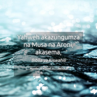 Picture 05 - Mambo ya Walawi 11:1 SWHULB - Yahweh akazungumza na Musa na Aroni, - Bible Verse Picture