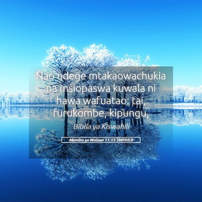 Picture 05 - Mambo ya Walawi 11:13 SWHULB - Nao ndege mtakaowachukia na msiopaswa kuwala ni - Bible Verse Picture