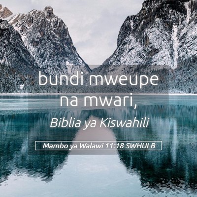 Picture 05 - Mambo ya Walawi 11:18 SWHULB - bundi mweupe na - Bible Verse Picture