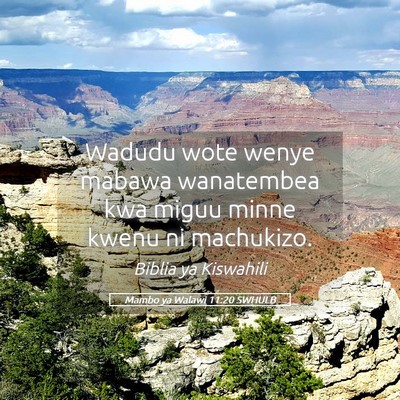 Picture 05 - Mambo ya Walawi 11:20 SWHULB - Wadudu wote wenye mabawa wanatembea kwa miguu - Bible Verse Picture