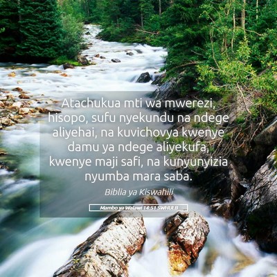 Picture 05 - Mambo ya Walawi 14:51 SWHULB - Atachukua mti wa mwerezi, hisopo, sufu nyekundu - Bible Verse Picture