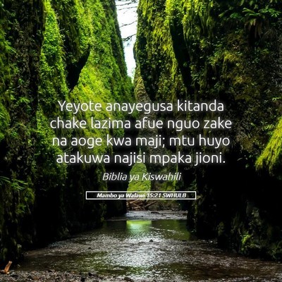 Picture 05 - Mambo ya Walawi 15:21 SWHULB - Yeyote anayegusa kitanda chake lazima afue nguo - Bible Verse Picture