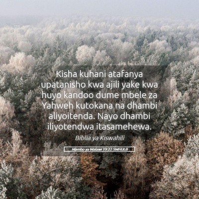 Picture 05 - Mambo ya Walawi 19:22 SWHULB - Kisha kuhani atafanya upatanisho kwa ajili yake - Bible Verse Picture