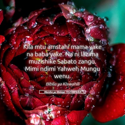 Picture 05 - Mambo ya Walawi 19:3 SWHULB - Kila mtu amstahi mama yake na baba yake. Na ni - Bible Verse Picture
