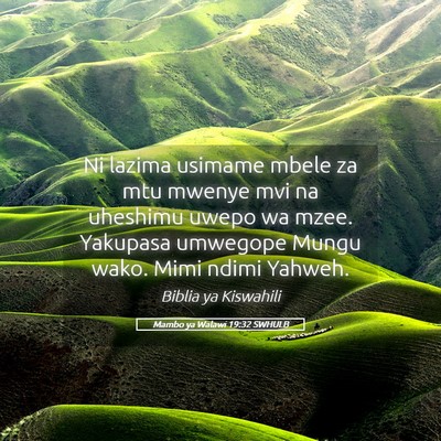 Picture 05 - Mambo ya Walawi 19:32 SWHULB - Ni lazima usimame mbele za mtu mwenye mvi na - Bible Verse Picture