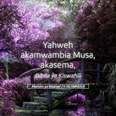 Picture 05 - Mambo ya Walawi 21:16 SWHULB - Yahweh akamwambia Musa, - Bible Verse Picture