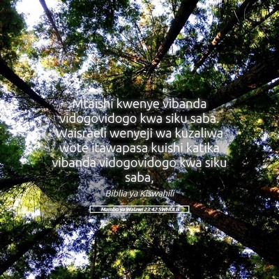 Picture 05 - Mambo ya Walawi 23:42 SWHULB - Mtaishi kwenye vibanda vidogovidogo kwa siku - Bible Verse Picture