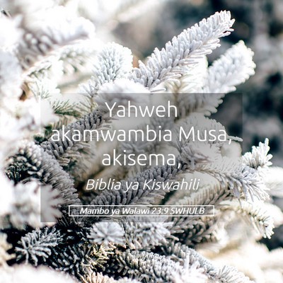 Picture 05 - Mambo ya Walawi 23:9 SWHULB - Yahweh akamwambia Musa, - Bible Verse Picture