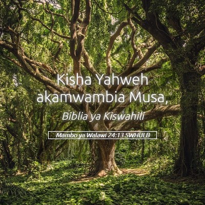 Picture 05 - Mambo ya Walawi 24:13 SWHULB - Kisha Yahweh akamwambia - Bible Verse Picture