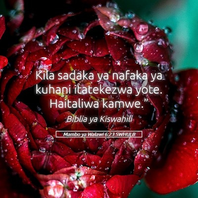 Picture 05 - Mambo ya Walawi 6:23 SWHULB - Kila sadaka ya nafaka ya kuhani itatekezwa yote. - Bible Verse Picture