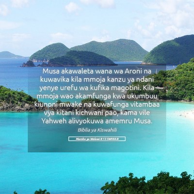 Picture 05 - Mambo ya Walawi 8:13 SWHULB - Musa akawaleta wana wa Aroni na kuwavika kila - Bible Verse Picture
