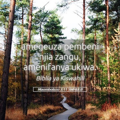 Picture 05 - Maombolezo 3:11 SWHULB - amegeuza pembeni njia zangu, amenifanya - Bible Verse Picture