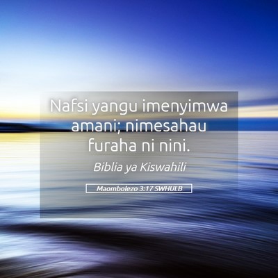 Picture 05 - Maombolezo 3:17 SWHULB - Nafsi yangu imenyimwa amani; nimesahau furaha ni - Bible Verse Picture