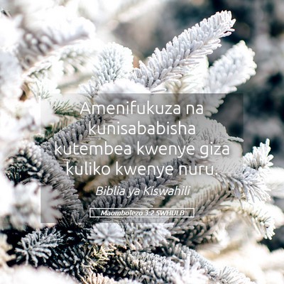 Picture 05 - Maombolezo 3:2 SWHULB - Amenifukuza na kunisababisha kutembea kwenye giza - Bible Verse Picture