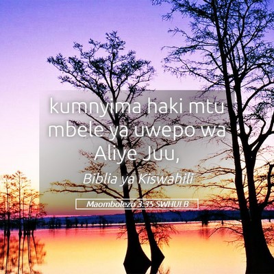 Picture 05 - Maombolezo 3:35 SWHULB - kumnyima haki mtu mbele ya uwepo wa Aliye - Bible Verse Picture
