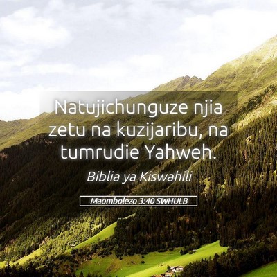 Picture 05 - Maombolezo 3:40 SWHULB - Natujichunguze njia zetu na kuzijaribu, na - Bible Verse Picture