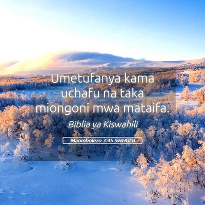Picture 05 - Maombolezo 3:45 SWHULB - Umetufanya kama uchafu na taka miongoni mwa - Bible Verse Picture