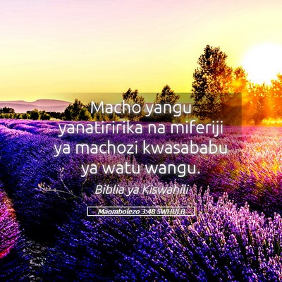 Picture 05 - Maombolezo 3:48 SWHULB - Macho yangu yanatiririka na miferiji ya machozi - Bible Verse Picture