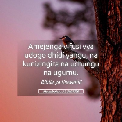 Picture 05 - Maombolezo 3:5 SWHULB - Amejenga vifusi vya udogo dhidi yangu, na - Bible Verse Picture