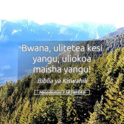 Picture 05 - Maombolezo 3:58 SWHULB - Bwana, ulitetea kesi yangu, uliokoa maisha - Bible Verse Picture