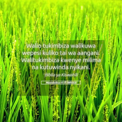 Picture 05 - Maombolezo 4:19 SWHULB - Walio tukimbiza walikuwa wepesi kuliko tai wa - Bible Verse Picture